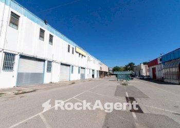 Zona - Negozio viale Lucrezia della Valle, Catanzaro - foto 5