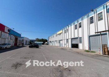 Zona - Negozio viale Lucrezia della Valle, Catanzaro - foto 11