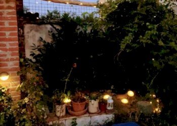 Giardino - Rustico via Colonne, Travacò Siccomario - foto 12