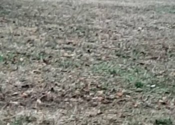 Zona - Villa via al Lago, Varsi - foto 5