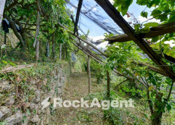 Terreno - Terreno agricolo via Torretta a Marmorata, Ravello - foto 7