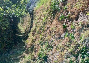 Terreno - Terreno agricolo via Torretta a Marmorata, Ravello - foto 10