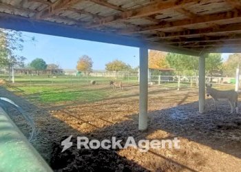 Veranda - Terreno agricolo via Campanella, Suardi - foto 4