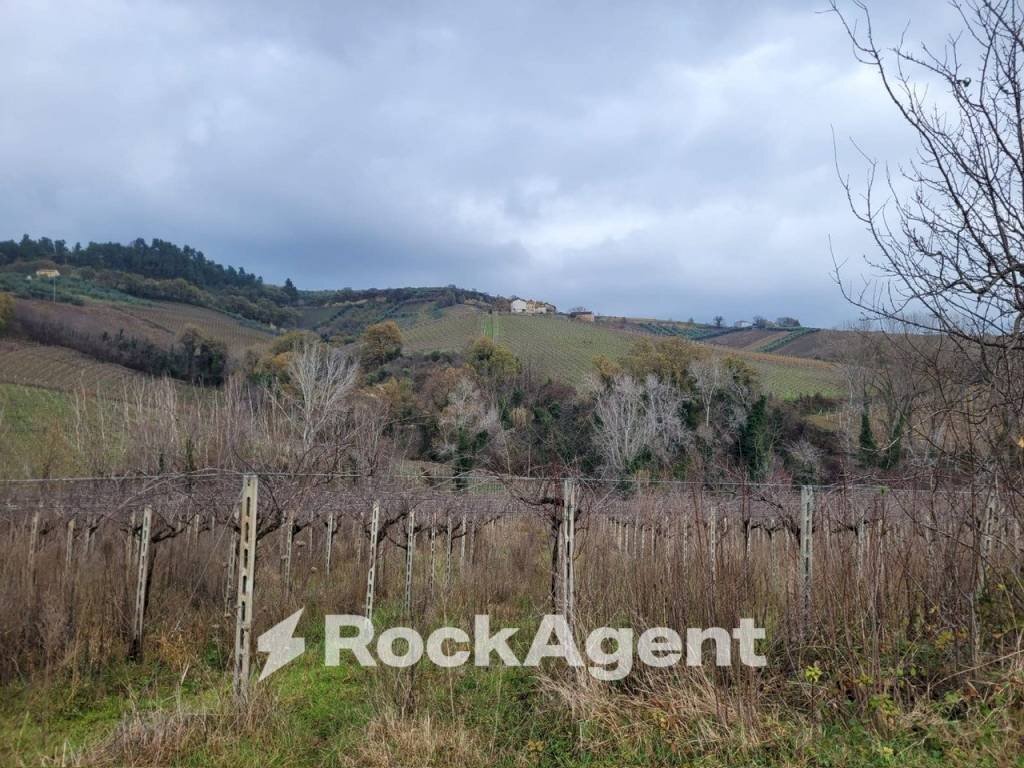 Terreno - Rustico contrada Serepenne, Villamagna - foto 3