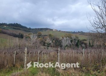 Terreno - Rustico contrada Serepenne, Villamagna - foto 3