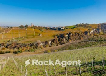 Terreno - Casa indipendente via Circonvallazione, 19, Castiglione Tinella - foto 22