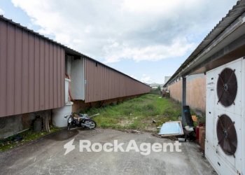 Terreno - Capannone via Antonio Meucci, 34, Palaia - foto 11