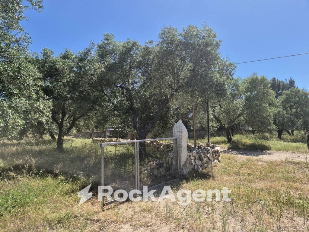 Terreno - Rustic viale Pandolfelli, Andria - photo 2