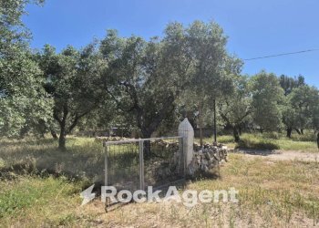 Terreno - Rustic viale Pandolfelli, Andria - photo 2