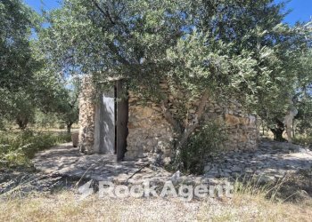 Terreno - Rustic viale Pandolfelli, Andria - photo 14