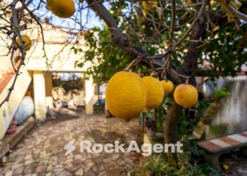 Giardino - Villa via Angitola, 56, Catanzaro - foto 28