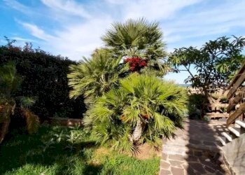 Giardino - Villa viale del Levante, 83, Carini - foto 24