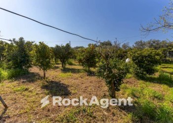 Terreno - Villa strada Provinciale 107, Giovinazzo - foto 1
