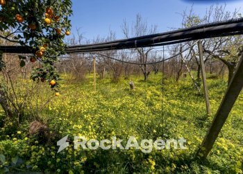 Terreno - Villa strada Provinciale 107, Giovinazzo - foto 19