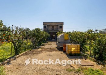 Terreno - Villa strada Provinciale 107, Giovinazzo - foto 33