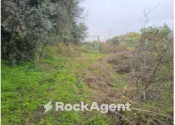 Terreno - Casa indipendente Farri Superiore, Grotteria RC, Grotteria - foto 21