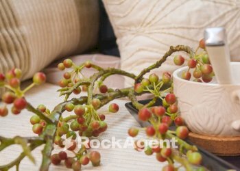 Altro - Three-room apartment piazza Europa, 25, Vetralla - photo 6