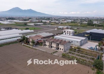 Vista - Rustic via Orta Corcia, Angri - photo 5