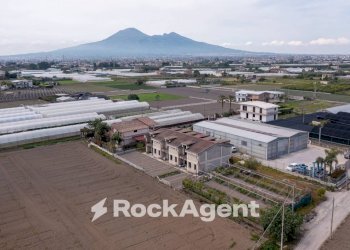 Vista - Rustic via Orta Corcia, Angri - photo 6