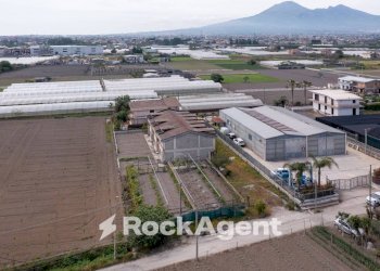 Vista - Rustic via Orta Corcia, Angri - photo 9