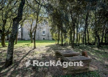 Giardino - Stabile - Palazzo Località Morruzze, 14, Baschi - foto 7