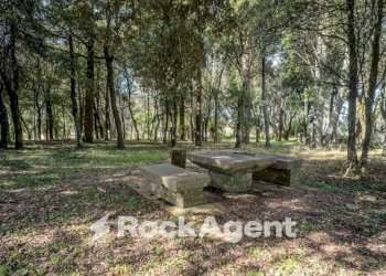 Terreno - Stabile - Palazzo Località Morruzze, 14, Baschi - foto 8