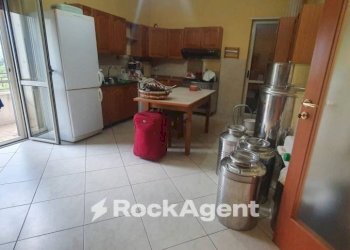 Cucina - Stabile - Palazzo strada Statale 107 Silana Crotonese, Rende - foto 6