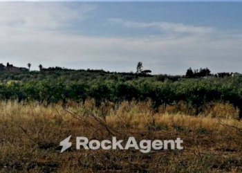 Terreno - Terreno agricolo via Formale Rotondo, Lanuvio - foto 3