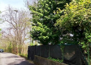 Zona - Casa indipendente via Guglielmo Marconi, 138, Trecchina - foto 33