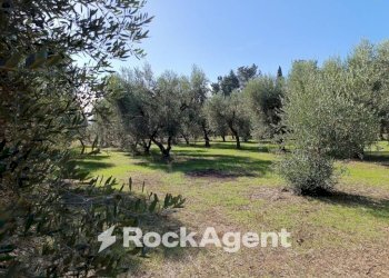 Terreno - Villa contrada Sant' Anna, Casarano - foto 12