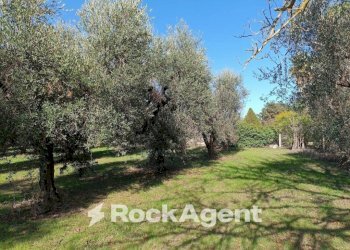 Terreno - Villa contrada Sant' Anna, Casarano - foto 15