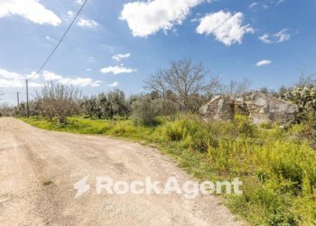 Terreno - Villa contrada Sant' Anna, Casarano - foto 16