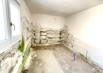 Cantina - Villa via Santa Margherita, Ferrara - foto 19