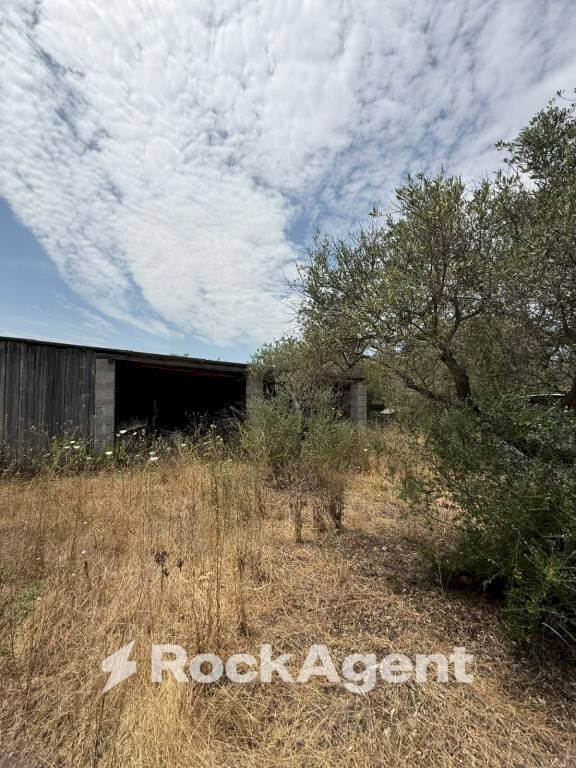 Terreno - Warehouse SV Li Curuneddi Tronco A, Sassari - photo 2