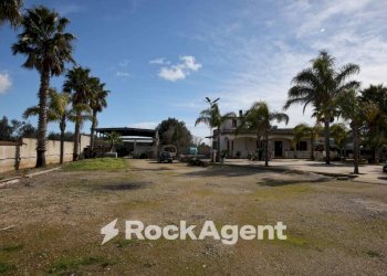 Terreno - Villa via Mesagne, San Donaci - foto 22