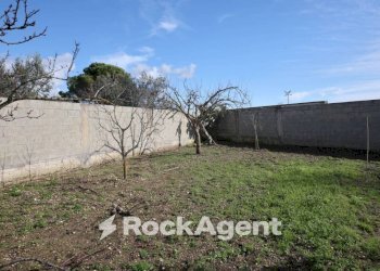 Terreno - Villa via Mesagne, San Donaci - foto 26