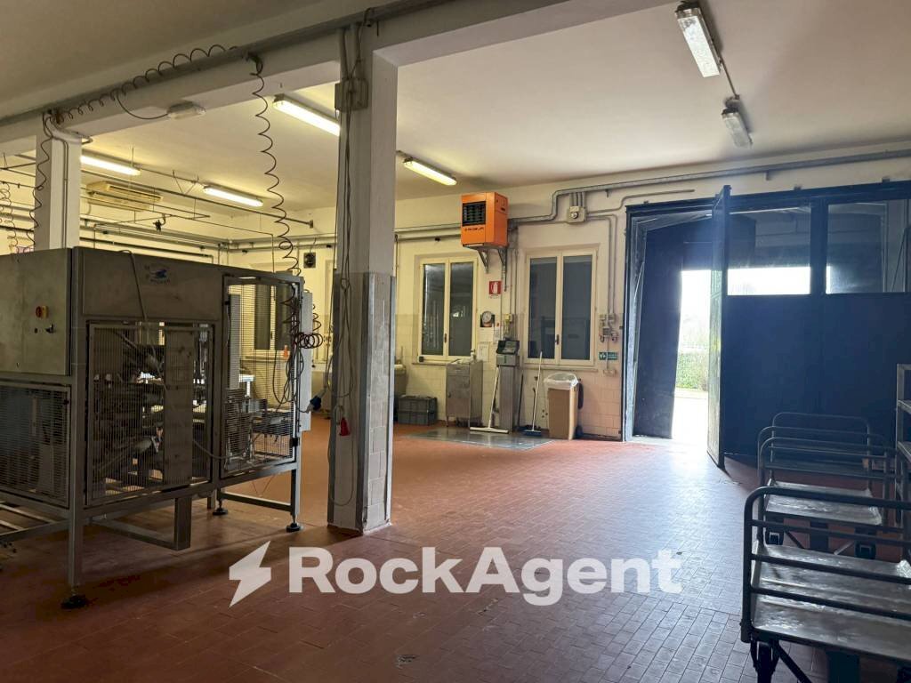 Magazzino - Capannone via Naufraghi del Galilea, Sala Baganza - foto 2