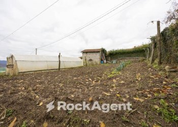 Terreno - Stabile - Palazzo Località Villa Regnano, Casola in Lunigiana - foto 9