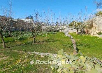 Terreno - Villa via 168, Porto Cesareo - photo 36