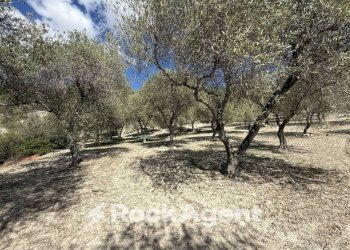 Terreno - Agricultural land Loc Santa Barbara, Sorso - photo 8