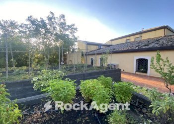 Giardino - Rustic via Millicucco, Piedimonte Etneo - photo 16