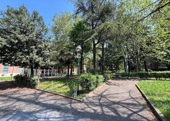 giardino condominiale  - Trilocale via Argentina Altobelli, Bologna - foto 21