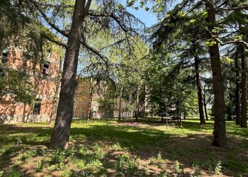 giardino condominiale - Trilocale via Argentina Altobelli, Bologna - foto 22