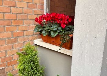 dettagli - Trilocale via Argentina Altobelli, Bologna - foto 28