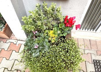 ingresso palazzo 1 - Trilocale via Argentina Altobelli, Bologna - foto 29