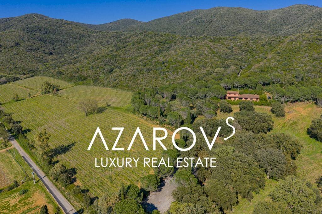 Vista - Villa vicolo Augusto, Castiglione della Pescaia - foto 3