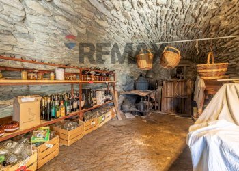 Small Villa Fognier 
 Nus, AO, Nus - photo 41