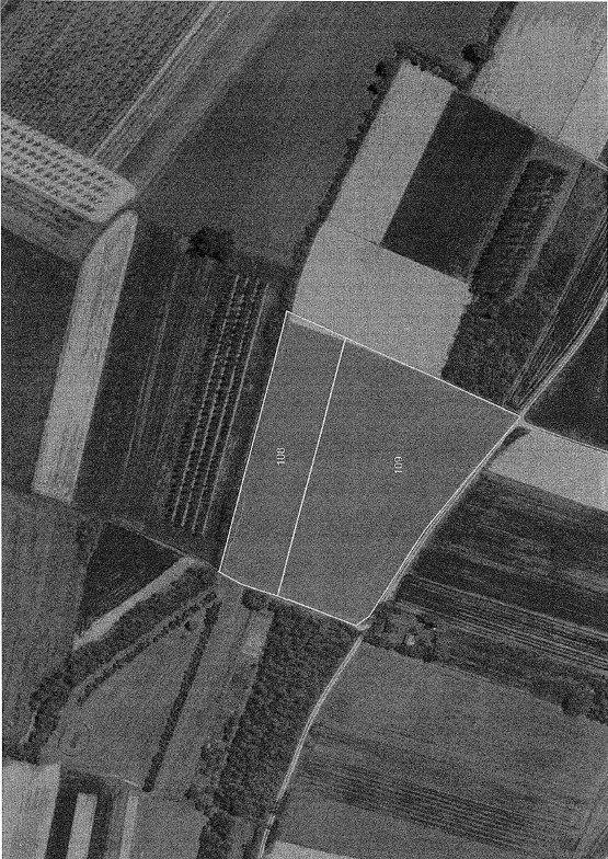 Terreno agricolo Via Lunga, Villastellone - foto 1