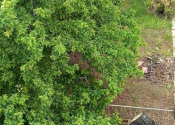 WhatsApp Image 2026-04-21 at 18.36.02(1).jpeg - Casa semi indipendente Via Papa Giovanni XXIII 2, Cursi - foto 8