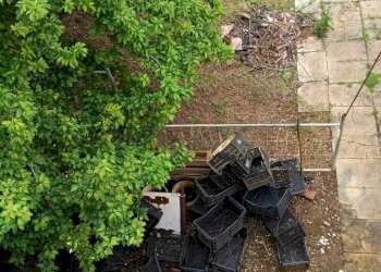 WhatsApp Image 2026-04-21 at 18.36.02(2).jpeg - Casa semi indipendente Via Papa Giovanni XXIII 2, Cursi - foto 9